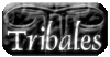 boton tribal